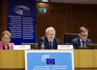 CESE solicită o compensație echitabilă pentru stagii: nici un stagiar nu ar trebui să lucreze gratuit.