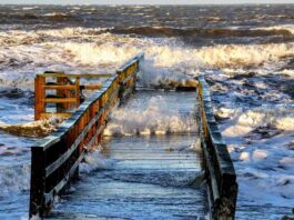 Când lumea se retrage de la coastă – noi continuăm să ne apropiem de ea